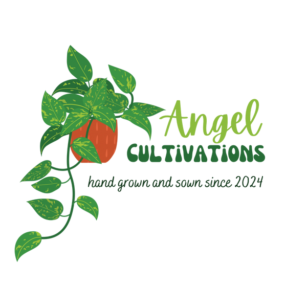 Angel Cultivations
